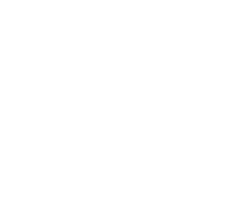 Wavekarting